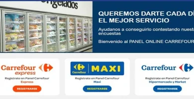 Panel Carrefour argentina